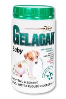 Orling Gelacan Plus Baby 500g