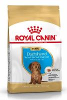 Royal Canin Breed Jezevčík Junior 1,5kg