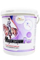 Magnesiumpony sud 10kg