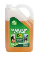 TRM pro koně Garlic Honey&amp;Glucose 6kg