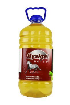Hyalgel Horse jablko 5l