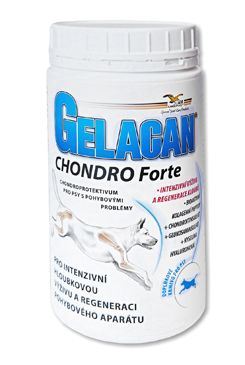 Orling Gelacan Chondro Forte 500g