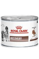 Royal Canin VD Fel / Can Recovery 195g konz